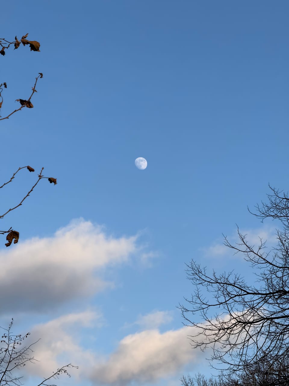 Too Good at a Bad Thing